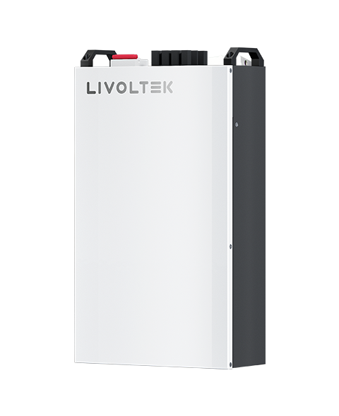 5KW Livotek Low Voltage Battery for Off-Grid Inverter - SFBLF-B51100