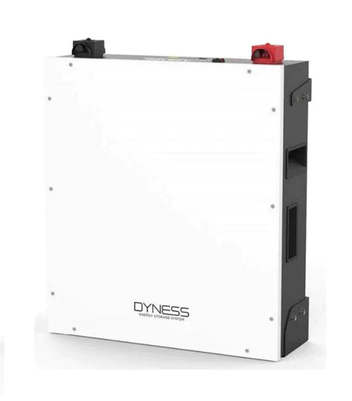 Dyness 5.0C 5.12 kWh – 51.2 V 100 Ah Battery (OLD MODEL)