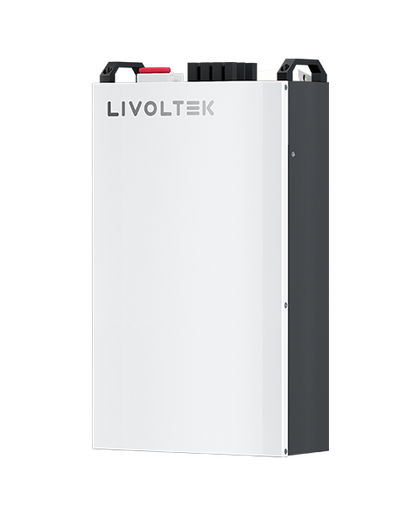 5KW Livotek Low Voltage Battery for Off-Grid Inverter - SFBLF-B51100