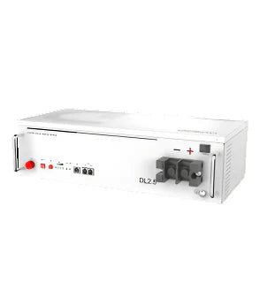Dyness 2.56 kWh – 25.6 V 100 Ah Battery