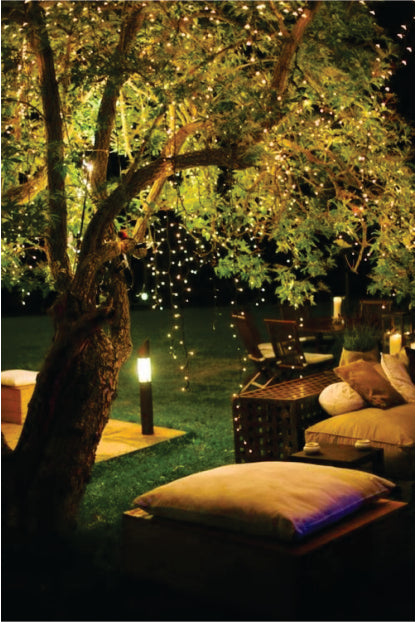 Solar Lights